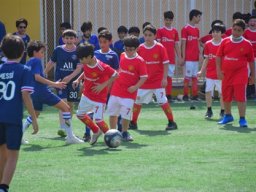 MIS Sports